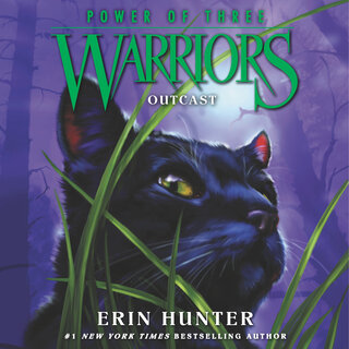 audiobook cover image