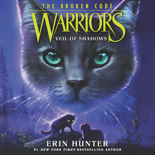 audiobook cover image