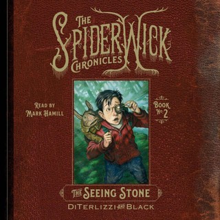 audiobook cover image