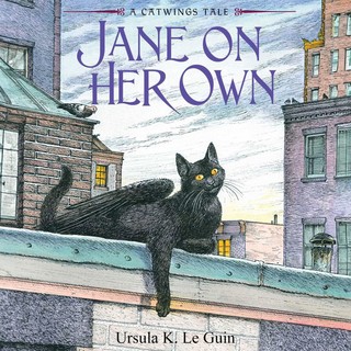audiobook cover image