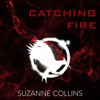 audiobook cover image