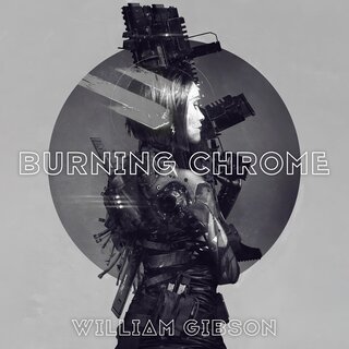 audiobook cover image