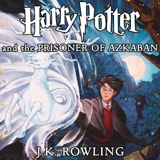 audiobook cover image