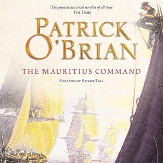 audiobook cover image