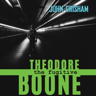 audiobook cover image