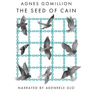 audiobook cover image