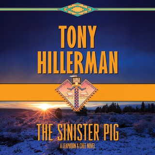audiobook cover image