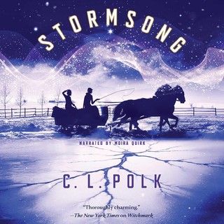 audiobook cover image