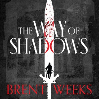 audiobook cover image