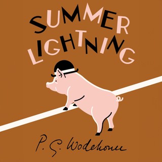 audiobook cover image