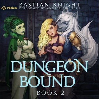 audiobook cover image