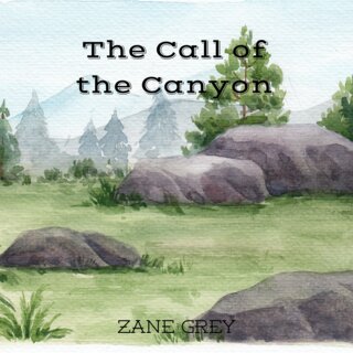 audiobook cover image