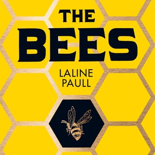 audiobook cover image