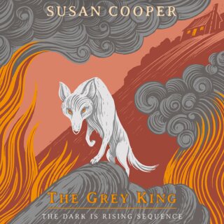 audiobook cover image