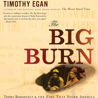 audiobook cover image