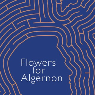 audiobook cover image