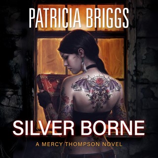 audiobook cover image