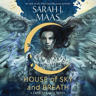 audiobook cover image