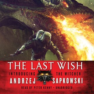 audiobook cover image