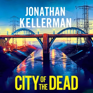 audiobook cover image