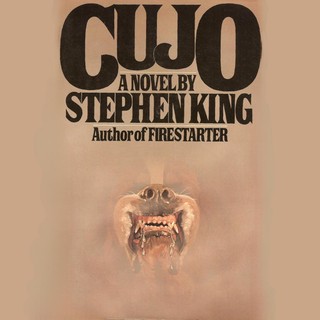 audiobook cover image
