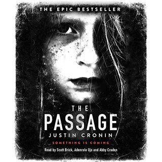 audiobook cover image