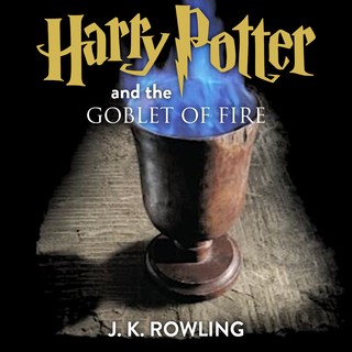 audiobook cover image