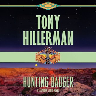audiobook cover image