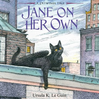 audiobook cover image