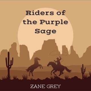 audiobook cover image