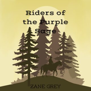 audiobook cover image