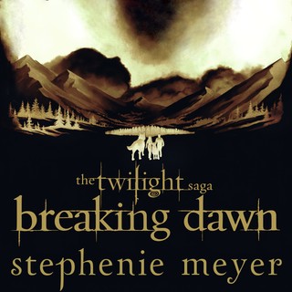 audiobook cover image