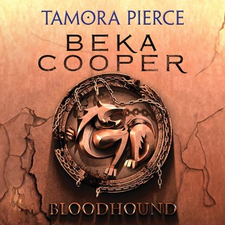 audiobook cover image