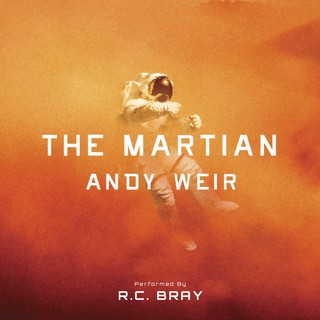 audiobook cover image