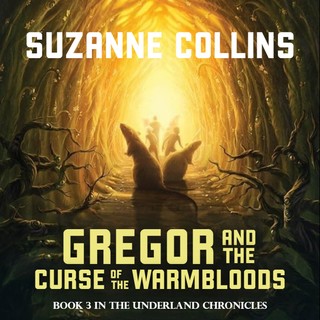 audiobook cover image