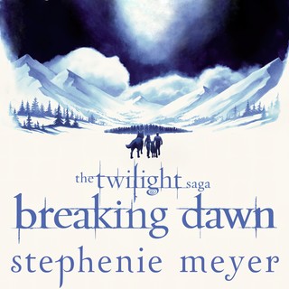 audiobook cover image