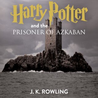 audiobook cover image