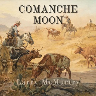 audiobook cover image