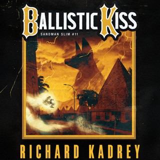audiobook cover image