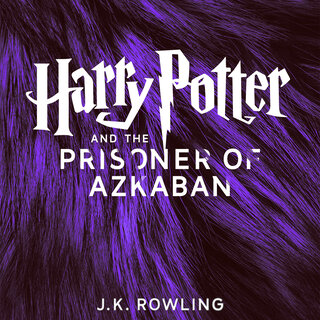 audiobook cover image