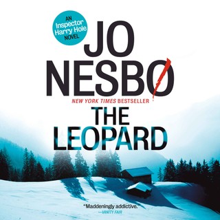 audiobook cover image