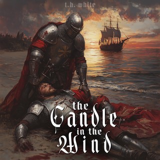 audiobook cover image