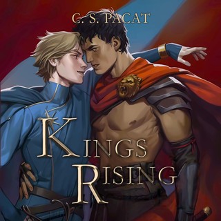 audiobook cover image