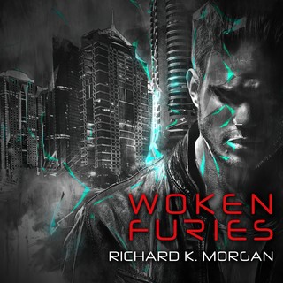 audiobook cover image