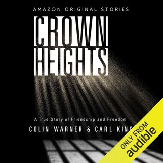 audiobook cover image