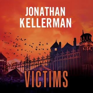 audiobook cover image