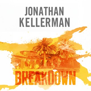 audiobook cover image