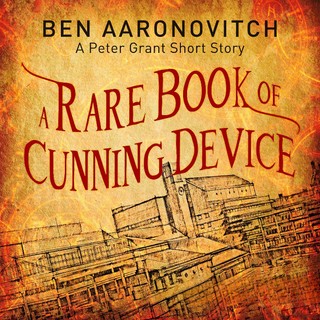 audiobook cover image