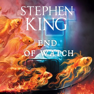 audiobook cover image