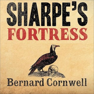 audiobook cover image